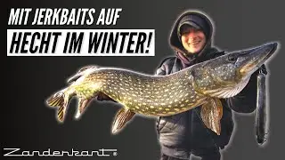 Hechtangeln im Winter ganz flach: So setzt du einen Jerkbait richtig ein