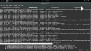 cassandra.exceptions.ConfigurationException: Saved cluster name Test Cluster != configured name
