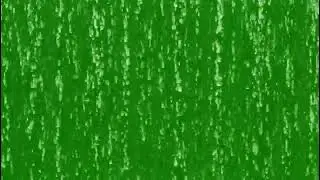 Professional Rain Green Screen 4K Footage for Commercial Projects