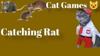 CAT GAMES 😺 - Catch The  Rat  🐁