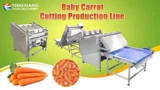 Baby Carrot Production Cutting Machine, Carrot Head And Tail Cutting Line