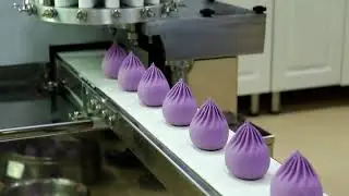 automatic xiao long bao machine,  soup dumpling machine