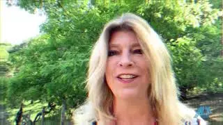 North Bay Wine Country Real Estate