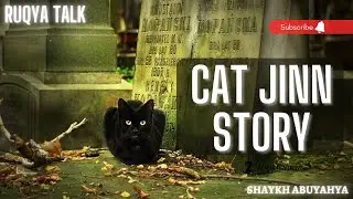 CAT JINN STORY