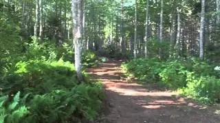 Spartan Running Event in St Charles