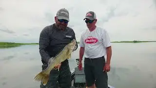 Berkley Crankbaits Chase Parsons Like to use While Trolling for Walleyes