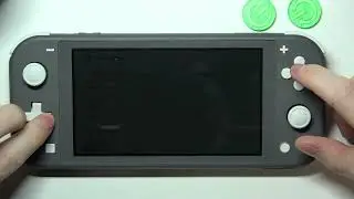 Nintendo Switch Lite How To Change Screen Brightness