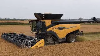 New Holland CR11 + MacDon 9 mt | Rice Harvesting
