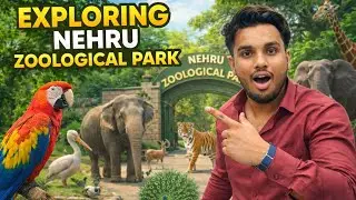 🫵 Exploring Hyderabad || Nehru Zoological Park 🏞️ ||#hyderabad 