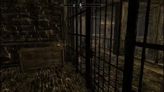 Skyrim Guard at prison