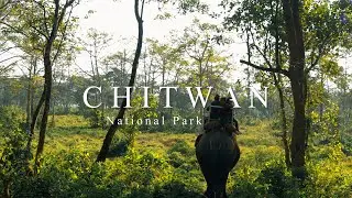 Conversation with Chitwan National Park Guide - Chitwan, Nepal