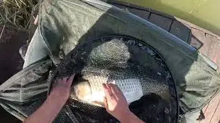 Nădirea precisă îți asigură capturi dese! | Pescuim la crap pe Lacul Nucetu