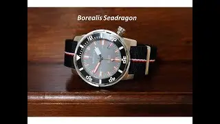 The Borealis Sea Dragon Review - Worth a Look?