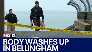 Body washes up in Bellingham, Washington, closes park and popular trail