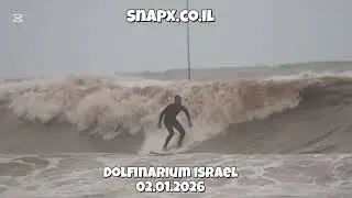 Dolphinarium Winter Surf | Tel Aviv | 02.01.2026 🌊