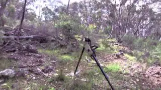 Wattle Flat
