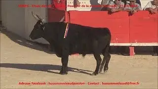 NIMES-Finale des AS-Pourpier de Saumade-21/10/2018