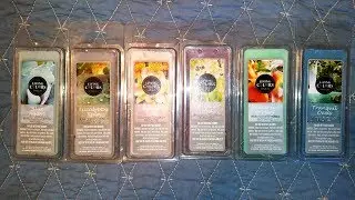 Living Colors (Big Lots) Wax Melts Reviews - January 2018