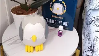 CARA MENGGUNAKAN OWL DIFFUSER YOUNG LIVING