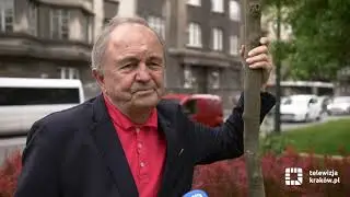 Drzewo ku pamięci Dariusza Gnatowskiego