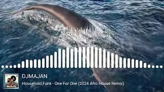 Household Funk - One For One (2024 DJMAJAN Afro House Remix)