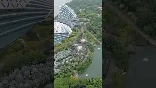 #singapore Marina Bay Sands #marinabaysingapore #trending #travel #viral #shorts #ytshorts
