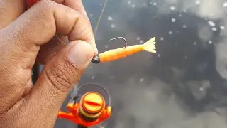 INCR&Iacute;VEL! micro camar&atilde;o nas pedras na pescaria ULTRALIGHT.