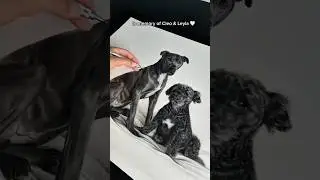 You can order your own special custom portrait through the link on my channels bio..  #art