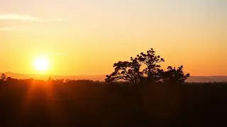 FutureMindset is live!