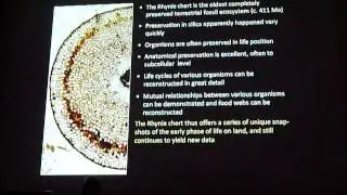 The Rhynie Chert- snapshots of an early terrestrial ecosystem Part4/4