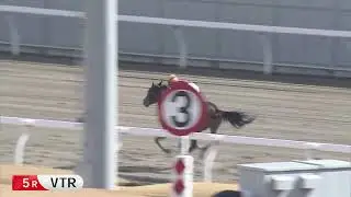 川崎競馬ダイジェスト（2025年2月5日）