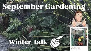 🌴 WINTER PREP FOR TROPICAL PLANTS. SEPTEMBER GARDENING JOBS 🌴#gardening #tropicalgarden #winter