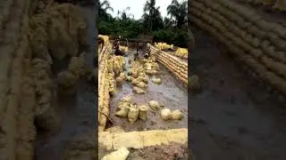 Construction of standard earthen pond of 20ft wide /70ft long /5ft deep