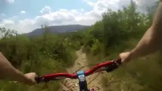 Bisamberg Trail | Raw MTB