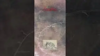 new nazire single 