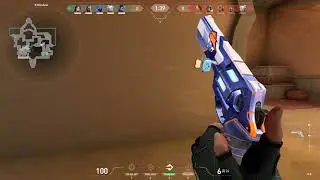 Assassination