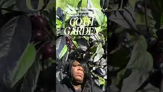 Plants BLACK like my EMO HEART 🖤 Black foliage for a GOTH GARDEN