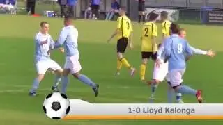 Samenvatting Hermes DVS 1 -  SV Donk 1