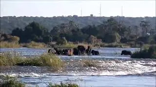 Kapalu lizambo