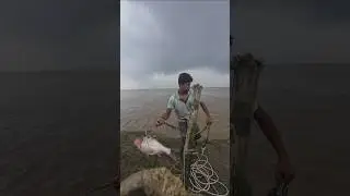 Fishing for katla fish in the river with big fish bait #river #katla