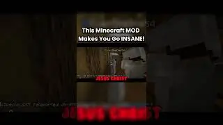 This Minecraft MOD Makes You Go INSANE!😱