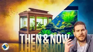 The Fascinating History of Biotope Aquariums