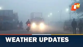 Yellow Alert For Dense Fog In Odisha | OTV News English