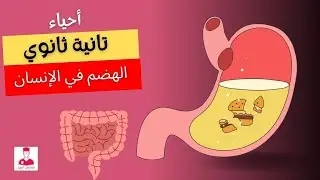 التغذية غير الذاتية - الهضم في الانسان (أحياء تانية ثانوي)|| شرح الجهاز الهضمي