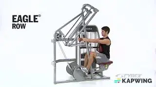 Cybex Seated Eagle Row
