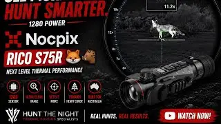Shots with the king of scopes — the Nocpix Rico S75R 👑 🦊🐗🐈
