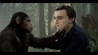 Macacos Gameplays