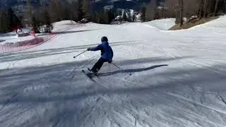 Selva 2020 1 (short)