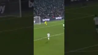 Nick Pope ! Great Save 🔥🧤 #shorts