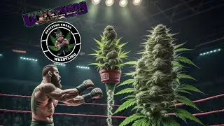 SSW Beach Escape Ad Southern Smoke Wrestling YouTube Channel